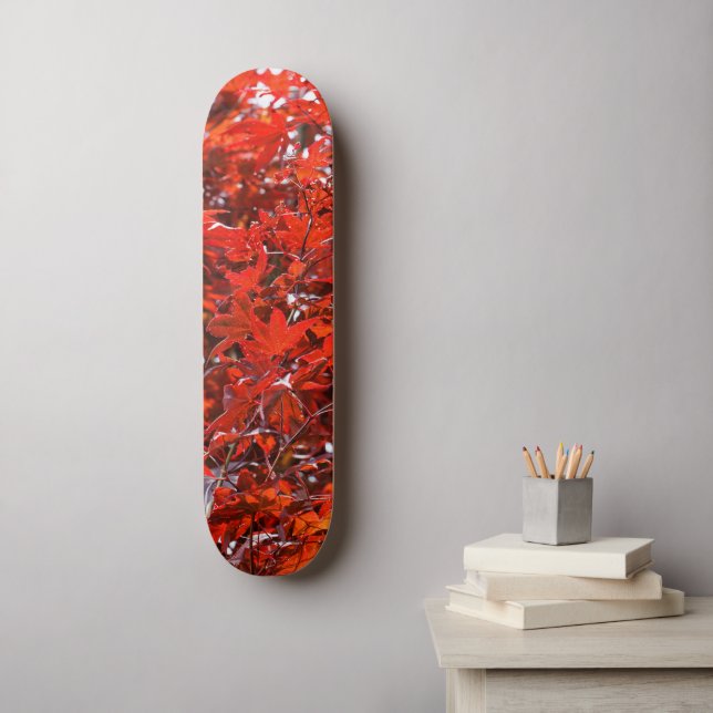 Skateboard Élégant Feuille d'érable rouge japonais (Art mural)