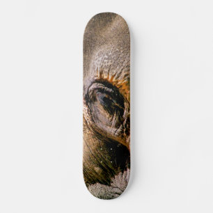 SKATEBOARD ÉLÉPHANT