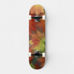Skateboard Érable à feuilles de vigne, NA, États-Unis, Washin