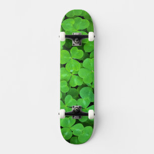 Skateboard États-Unis, Californie, Jedediah Smith Rewood SP.