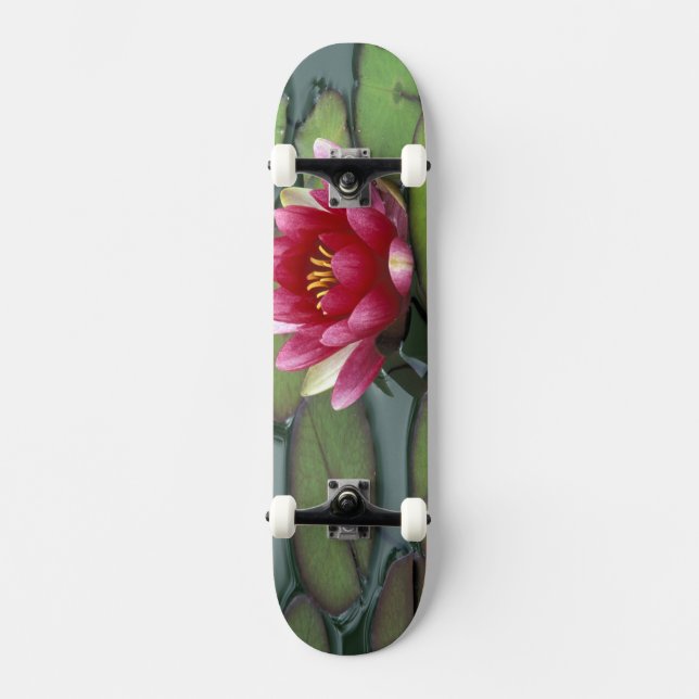 Skateboard États-Unis, État de Washington, Seattle. Nénuphar  (Recto)