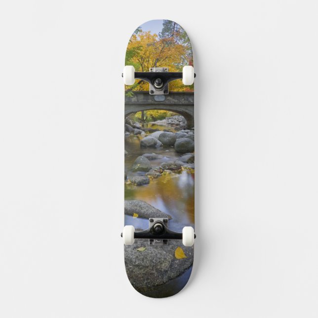 Skateboard États-Unis, Oregon, Ashland, Lithia Park.Automne (Recto)