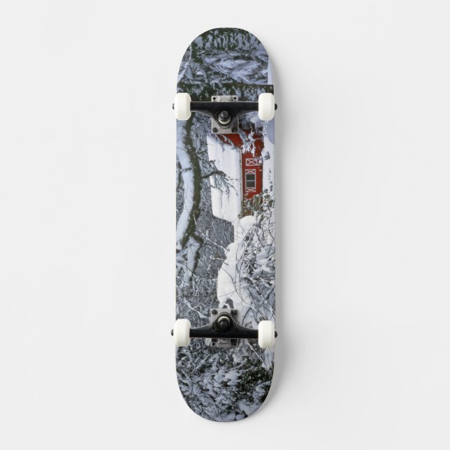 Skateboard États-Unis, Oregon, comté de Clackamas. Neige fraî (Recto)