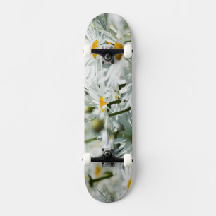 Skateboard États-Unis, Oregon, Willamette Valley, Sélectif