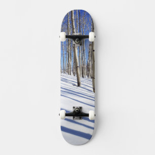 Skateboard États-Unis, Utah, forêt nationale de Dixie, Aspen