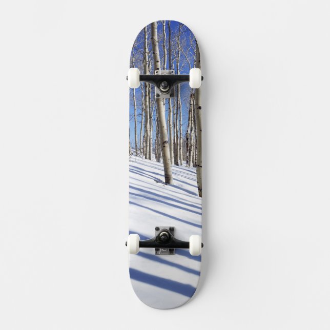 Skateboard États-Unis, Utah, Forêt nationale de Dixie, Aspen  (Recto)