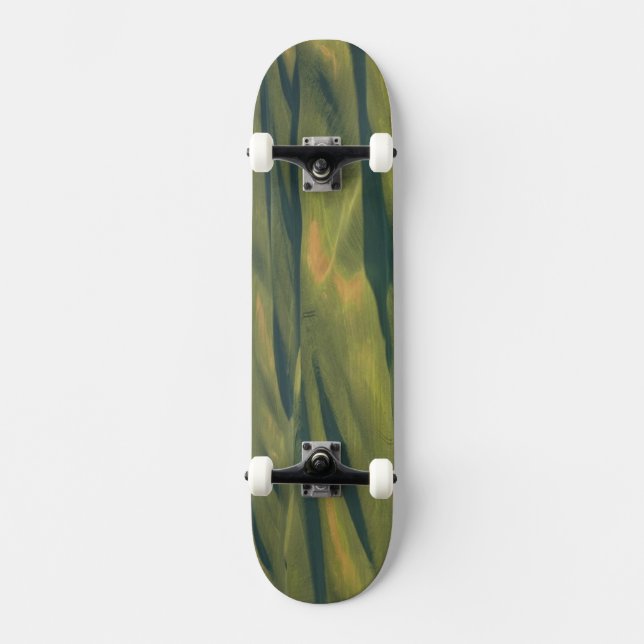 Skateboard États-Unis, WA, comté de Whitman, champs de ferme  (Recto)