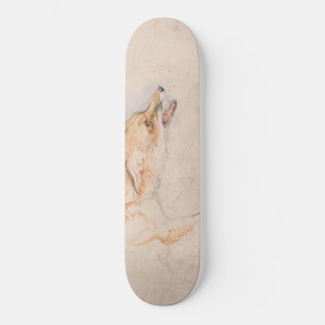 Skateboard Étude d'un renard croustillant (par John Frederick (Recto)