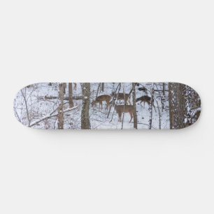 Skateboard Famille De Cerfs En Ski De Neige