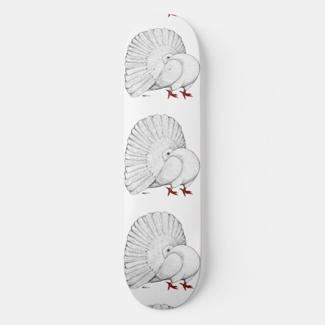 Skateboard Fantail Pigeon White (Recto)