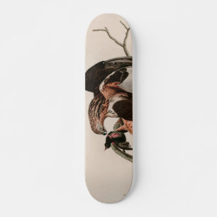 Skateboard Faucon à pattes rousses d'Amérique Audubon Impri