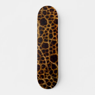 Skateboard Faux Crocodile Alligator Skin