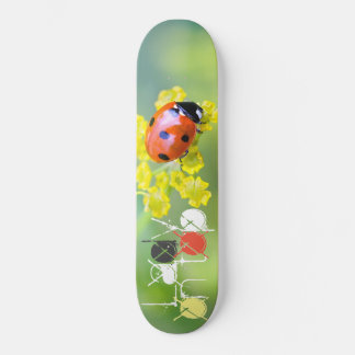 Skateboard femme au sommet