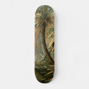 Skateboard Ferns Palm Tree Antiquité Botanique Ferns Art