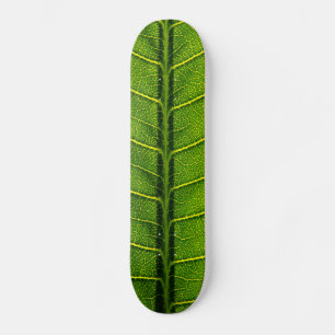 Skateboard Feuille