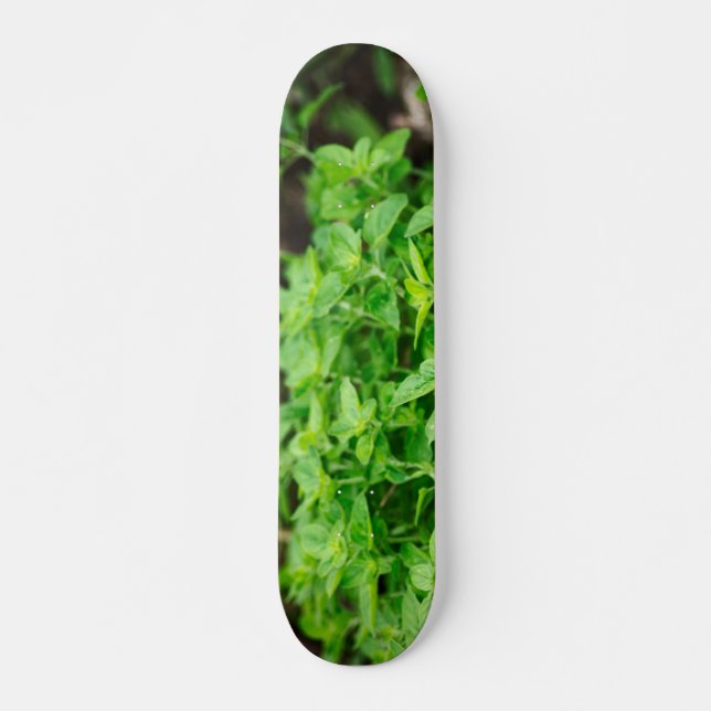 Skateboard feuille (Devant)