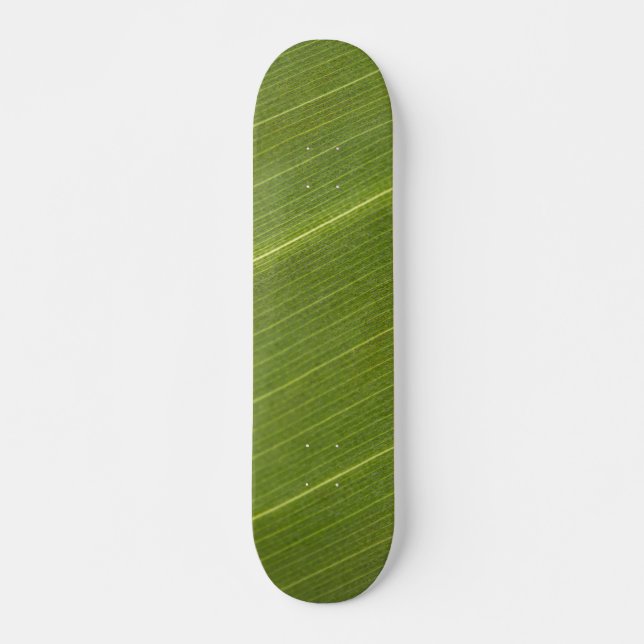 Skateboard Feuille de palmier (Devant)