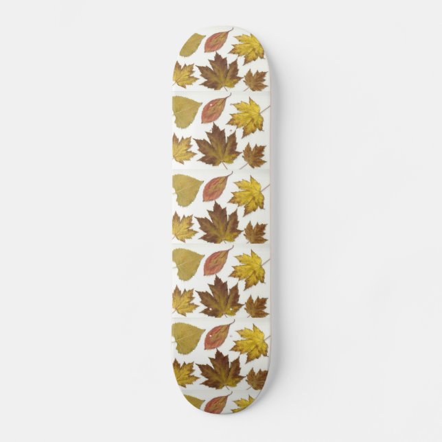 Skateboard Feuille partout (Recto)