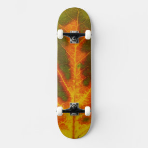 Skateboard Feuille vert orange et jaune d'Aspen #1