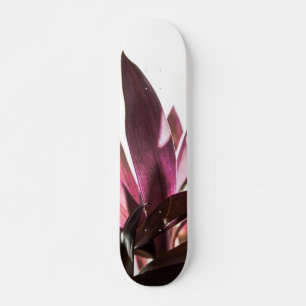 Skateboard feuilles