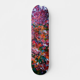 Skateboard Feuilles brillants
