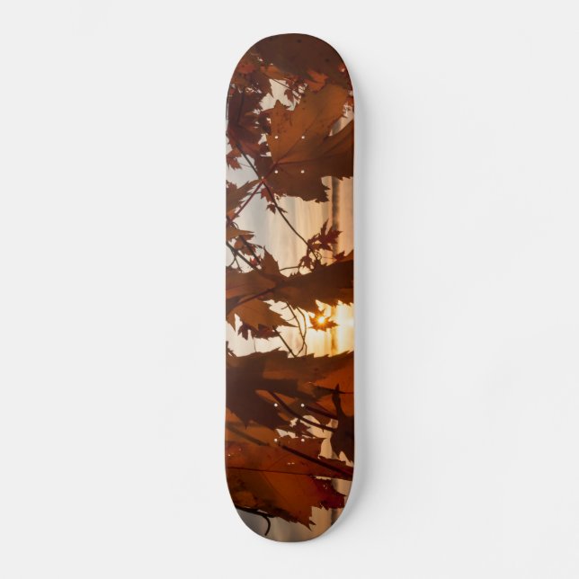 Skateboard feuilles d'érable (Recto)