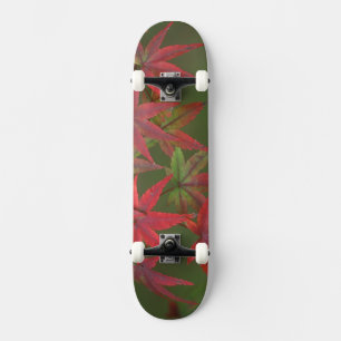Skateboard Feuilles d'érable, Katsura, Kyoto, Japon
