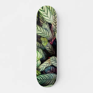Skateboard Feuilles écartés