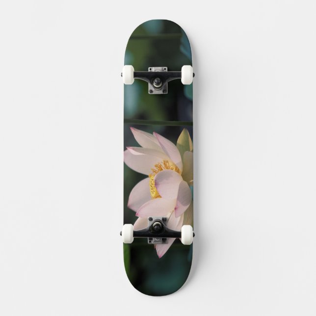 Skateboard Fleur de Lotus en fleurs, Chine (Recto)