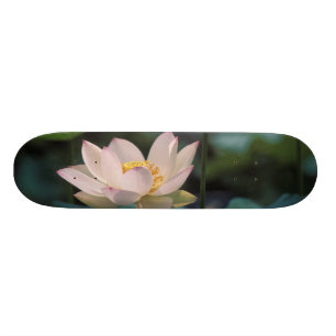 Skateboard Fleur de Lotus en fleurs, Chine