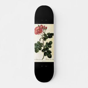 Skateboard Fleur de rose, Pierre Joseph Redouté