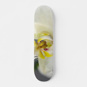 Skateboard Fleur d'orchidée blanche