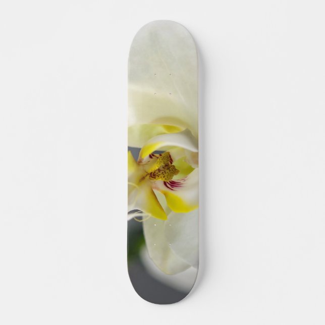 Skateboard Fleur d'orchidée blanche (Devant)