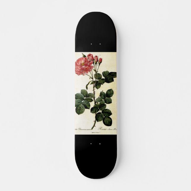 Skateboard Fleur rose, Pierre Joseph Redouté (Devant)