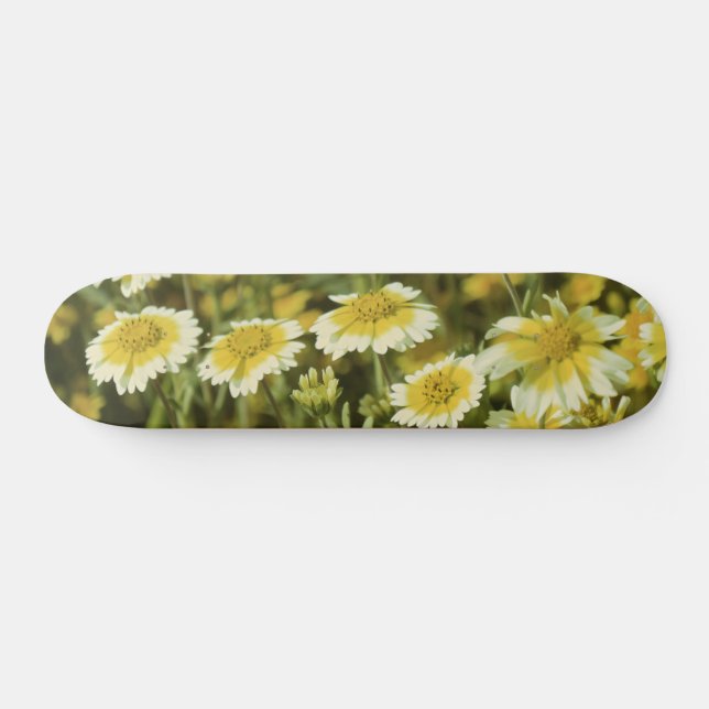 Skateboard Fleur sauvage jaune (Horz)