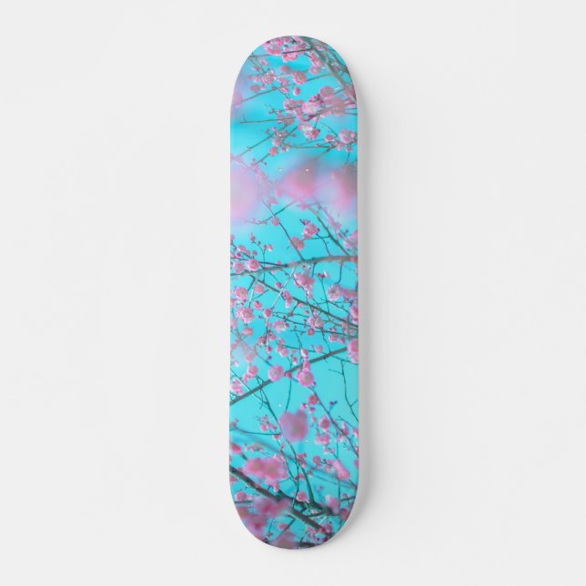 Skateboard Fleurs de Prunier (Suzhou, Chine) (Devant)