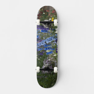 Skateboard Fleurs printanières le long d'un chemin de jardin,