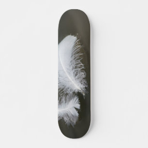 Skateboard Floating Goose Feathers