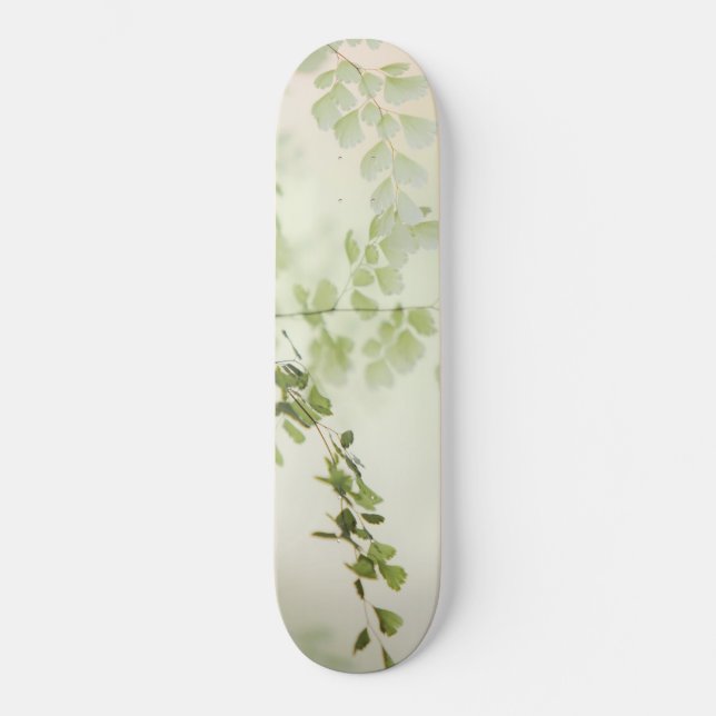 Skateboard Foliage de printemps (Recto)