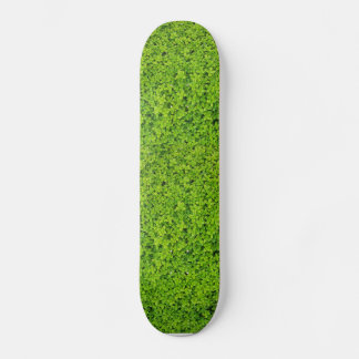 Skateboard Fond de mur de lierre