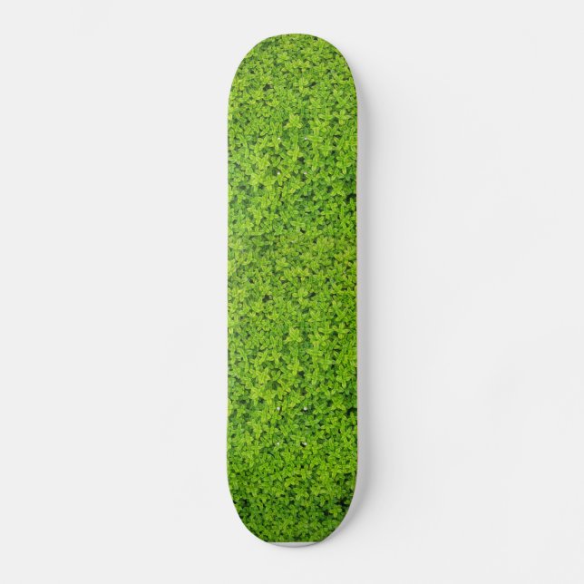 Skateboard Fond de mur de lierre (Recto)