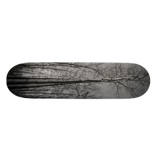 Skateboard Forêt d'arbres