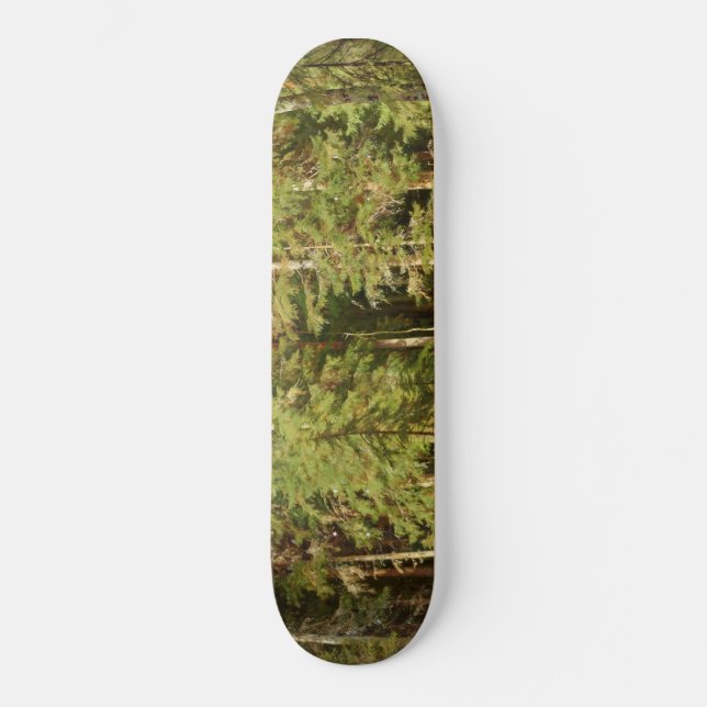 Skateboard Forêt russe (Paysage rustique) (Bois vert) (Recto)