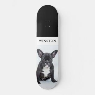 Skateboard French Bulldog Pet Photo