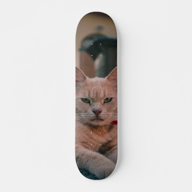 Skateboard Gato atigrado naranja con seria actitud (Devant)