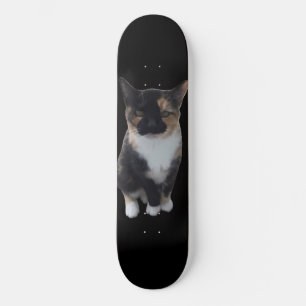 Skateboard GatoDisapproves Planche à roulettes