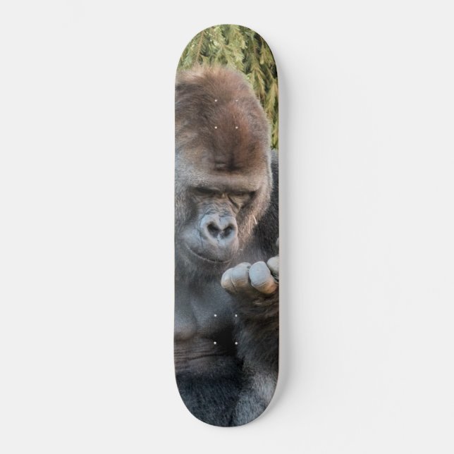 SKATEBOARD GORILLA (Recto)