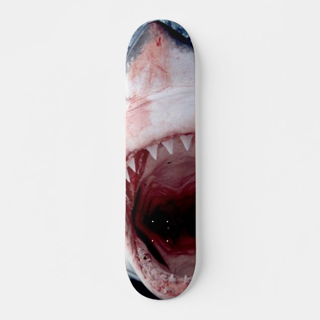 Skateboard Grand (Devant)