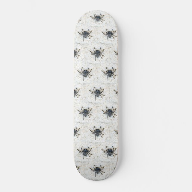 Skateboard Grand Araignée Femme, (Recto)