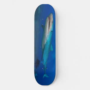 Skateboard Grande planche à roulettes de requins blancs